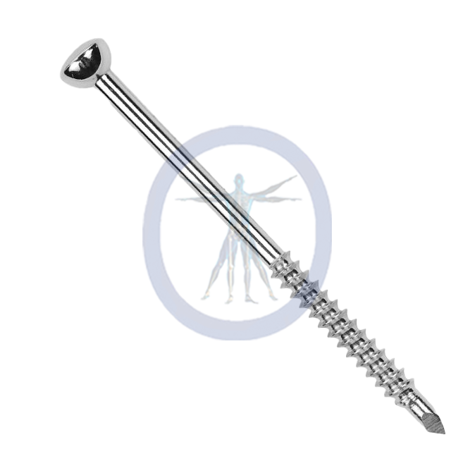 A metal screw with a long handle and a large head.