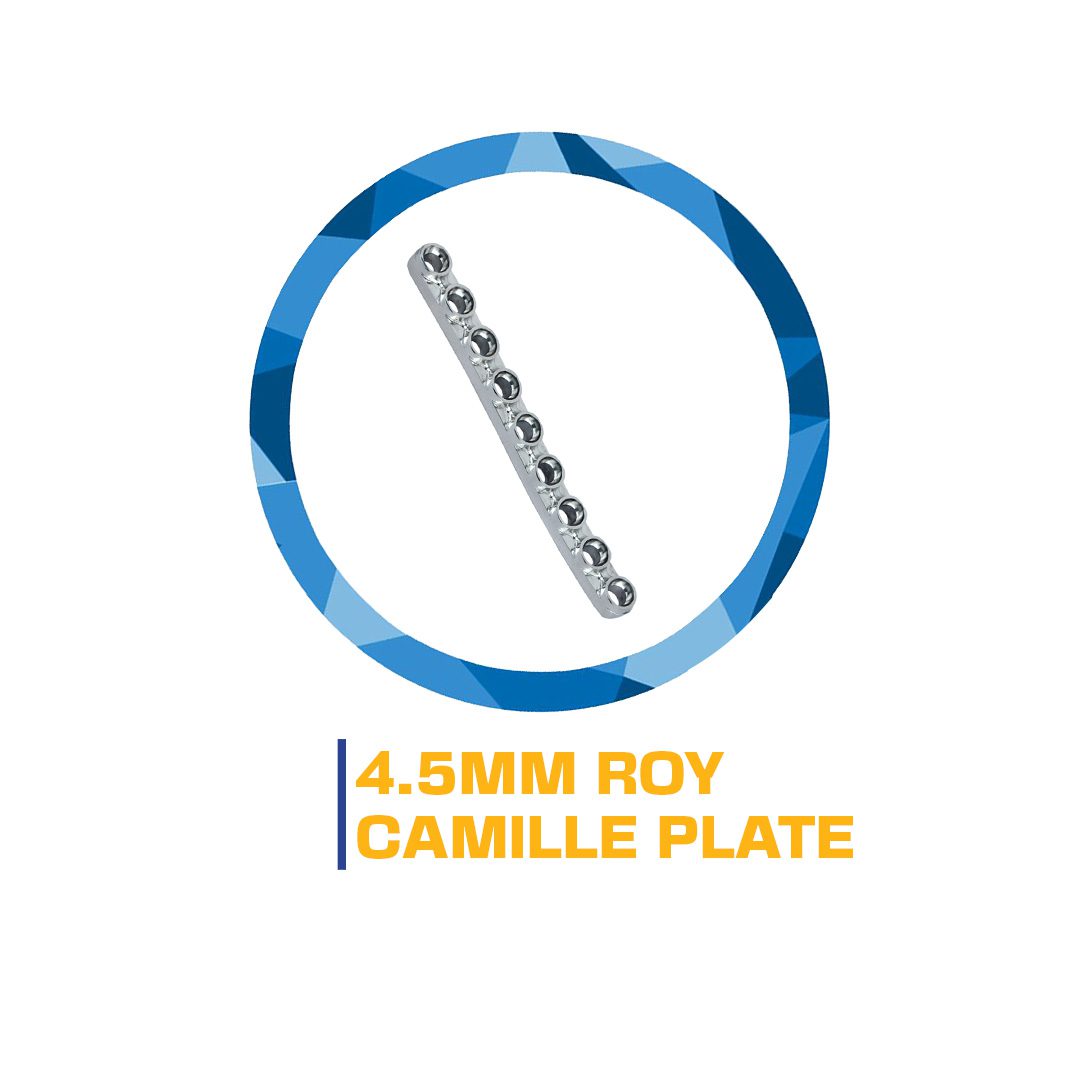 4.5mm Roy Camille plate with balls.
