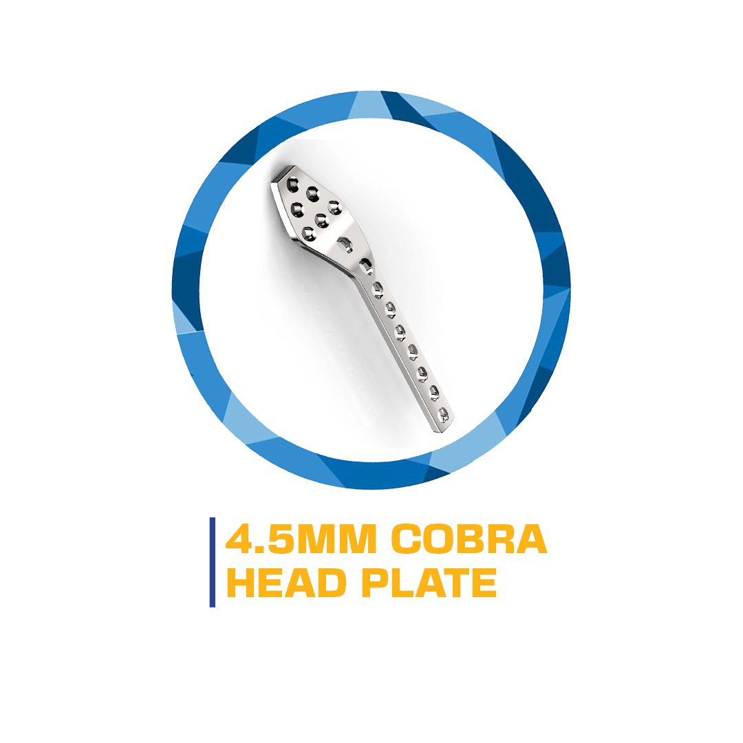 4.5mm Cobra head plate implant.