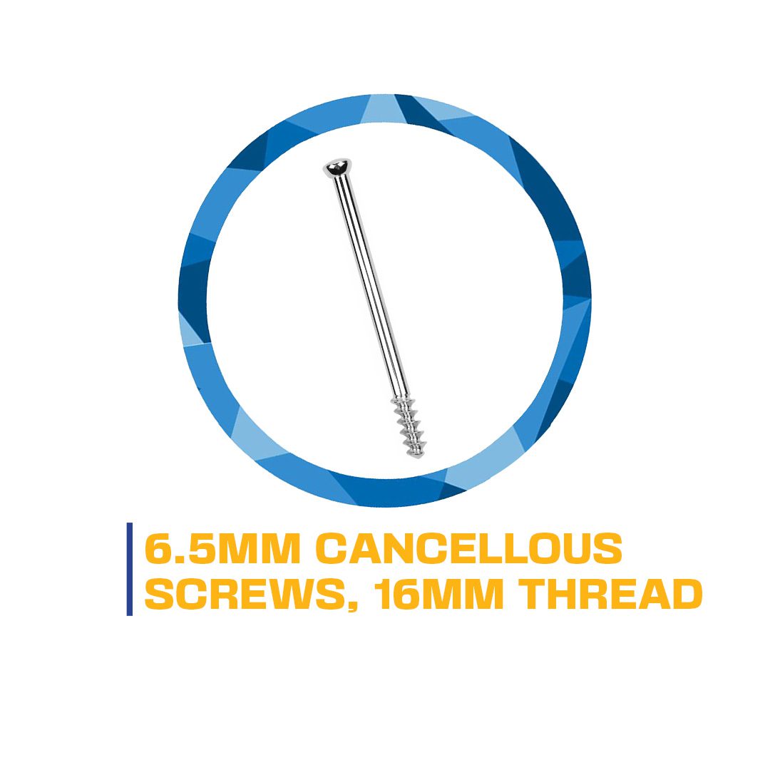 6.5mm cancellous screw, 16mm thread.