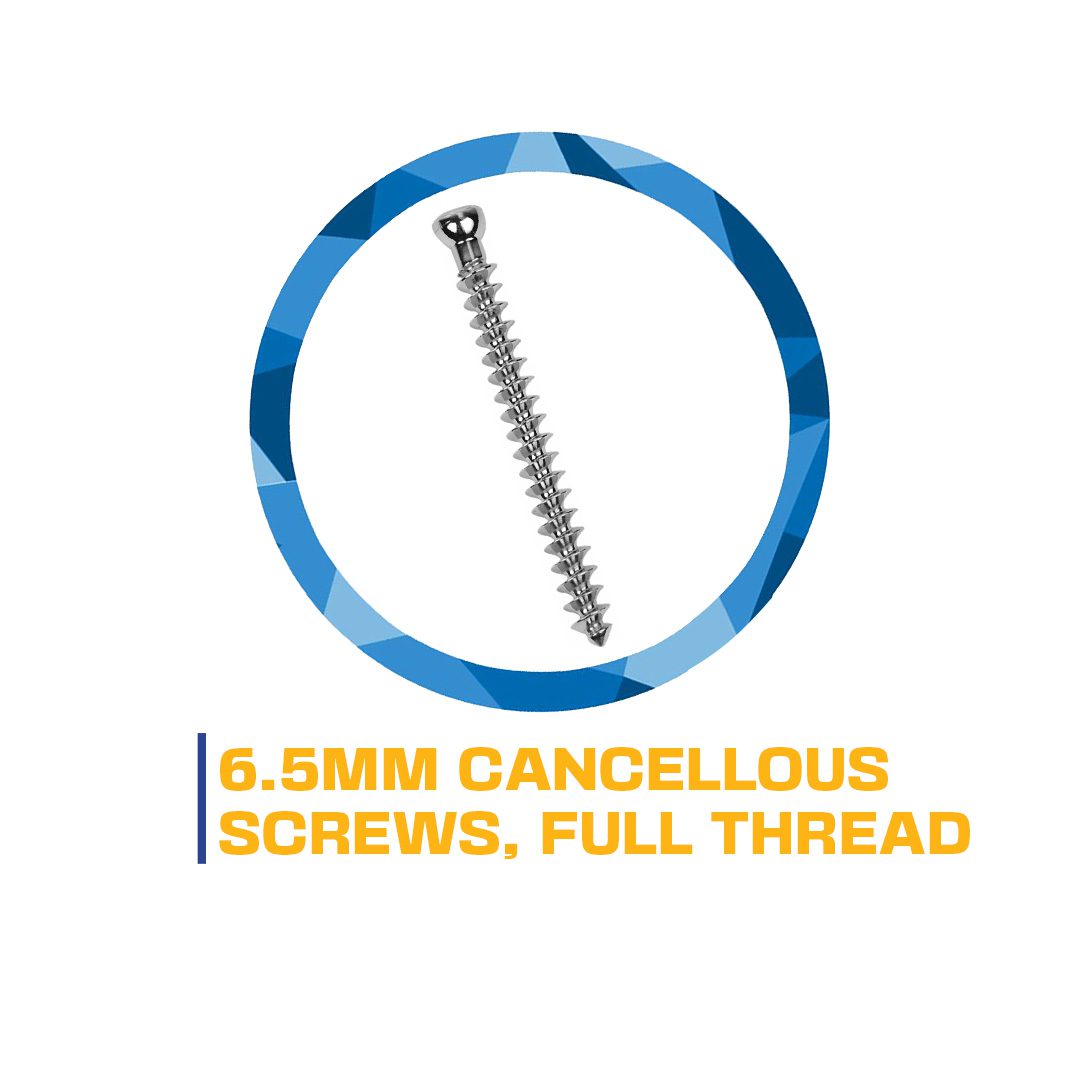 6.5mm cancellous screw, full thread.