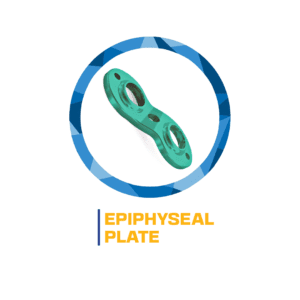 Epiphyseal plate medical device illustration.