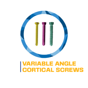 Variable angle cortical screws.