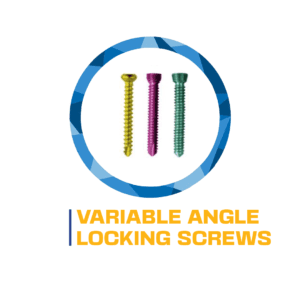 Variable angle locking screws.